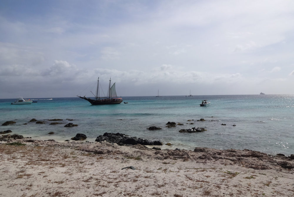 Arashi2-1000x670 - Arashi Beach, la playa favorita de los locales en Aruba e ideal para las familias