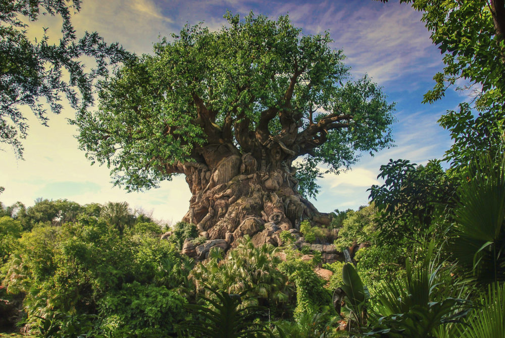 Dónde comprar souvenirs en Disney’s Animal Kingdom Florida