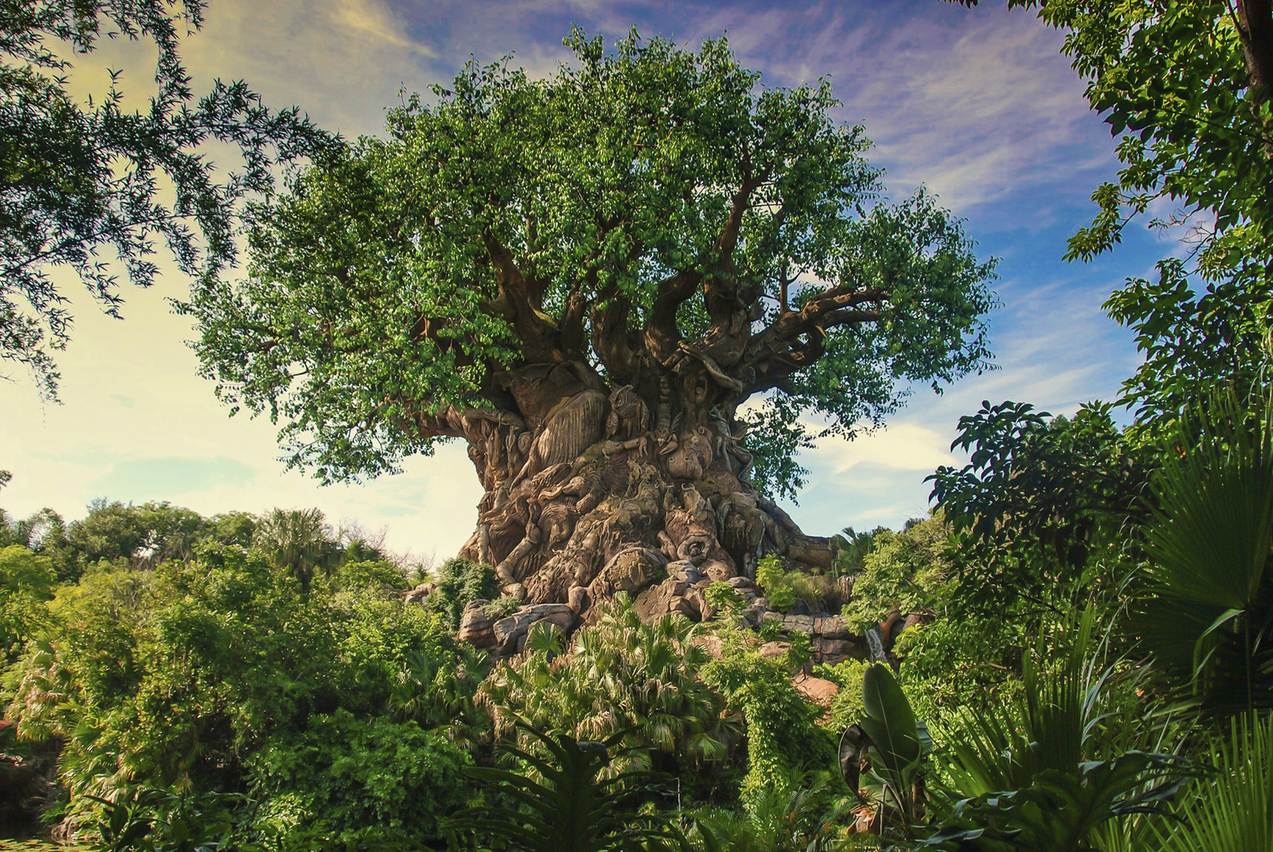 Dónde comprar souvenirs en Disney’s Animal Kingdom Florida