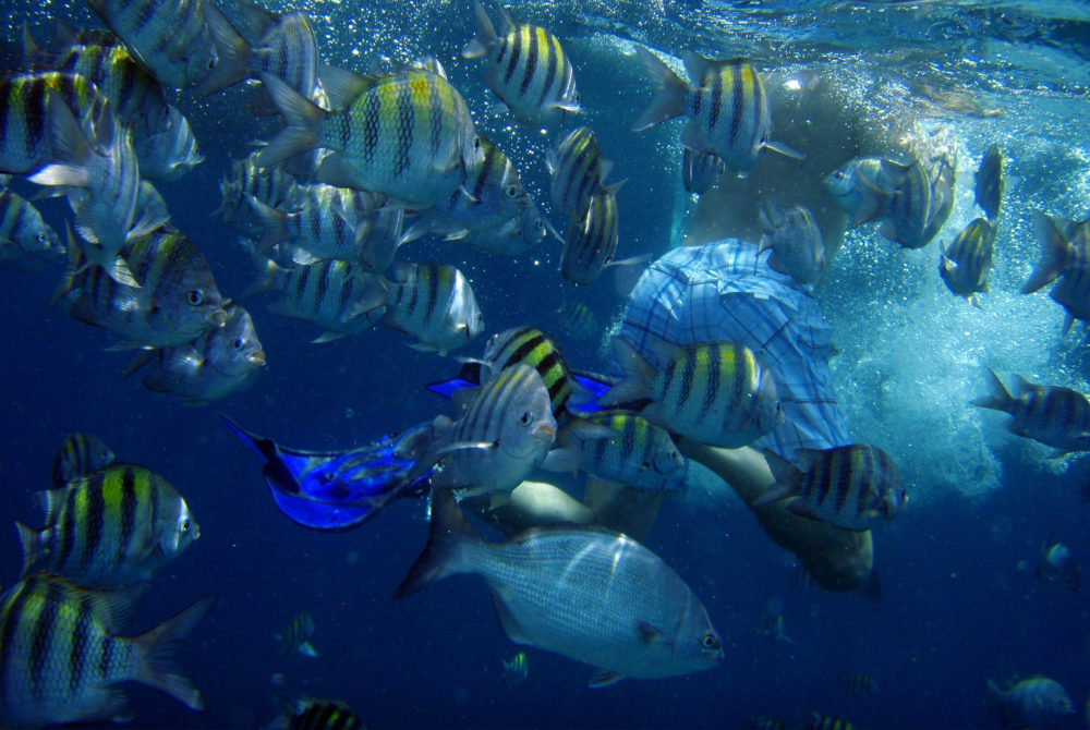 Aruba2-1000x670 - 10 consejos para turistas que visitan Aruba