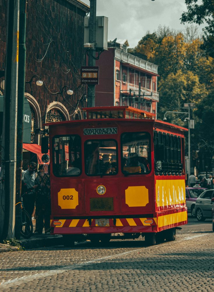 Coyoacan-733x1000 - Chapultepec y Coyoacán: los mejores planes para redescubrir la CDMX en familia