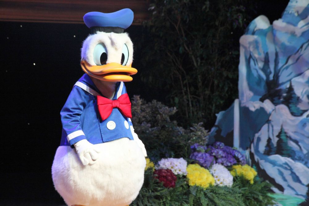 Donald-Duck-1000x667 - Los personajes de Disney que puedes conocer en Epcot Florida