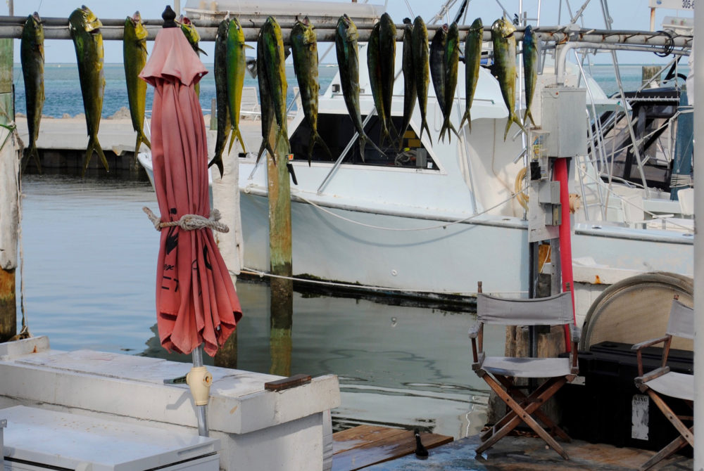 Mahi-Mahi-1000x670 - Dónde comer en Aruba y qué platos típicos hay