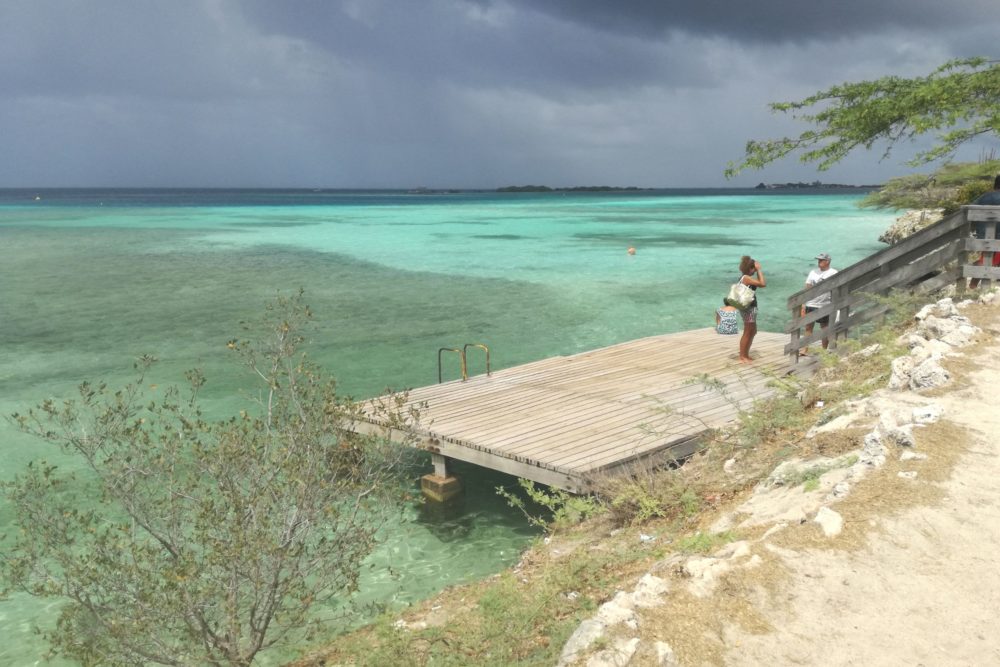 Mangel-Halton-1000x667 - Cuáles son las regiones más importantes de Aruba