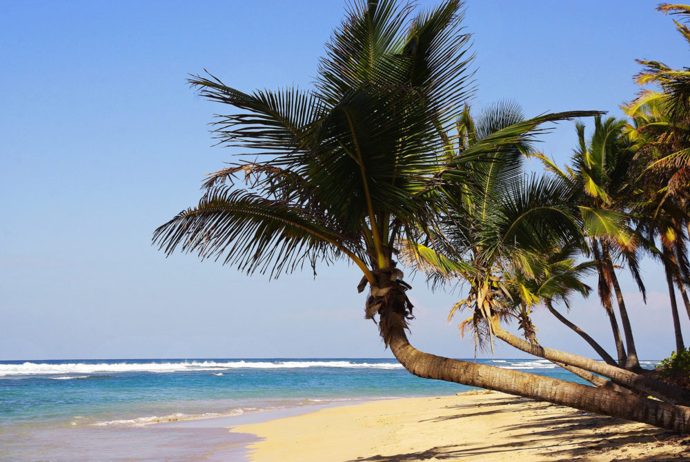 ¿Hay sargazo en Punta Cana en septiembre?