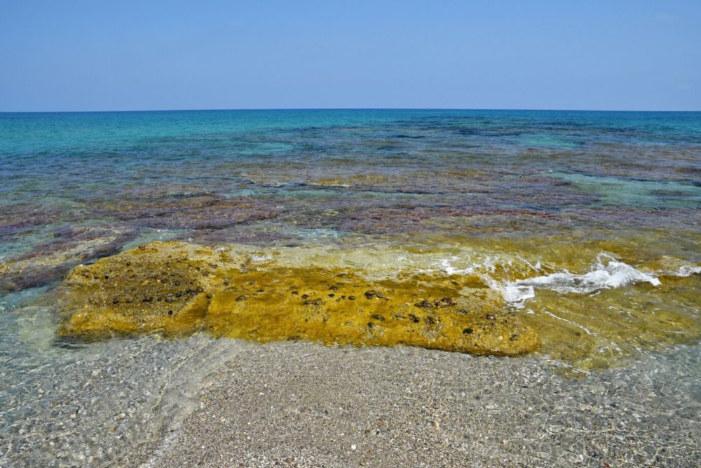 Sargazo-1000x667 - Cuándo hay sargazo en Tulum