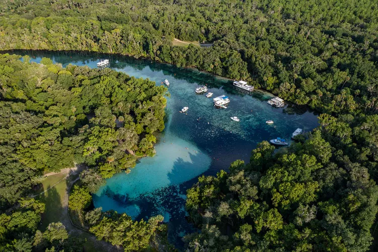 TAL-silver-glen-boats-ocala-OCALAHORSES0824-9c5962be54c24e2a83e982920a924ab6 - Esta ciudad de Florida alberga el manantial más grande de Estados Unidos y se le conoce como la «capital mundial de los caballos»