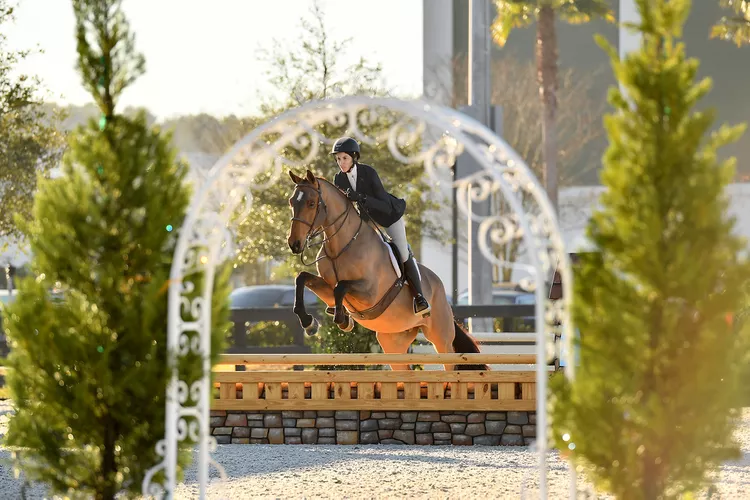 TAL-world-equestrian-center-ocala-OCALAHORSES0824-8e2ab89b1c2f4de98a88b09592956afd - Esta ciudad de Florida alberga el manantial más grande de Estados Unidos y se le conoce como la «capital mundial de los caballos»