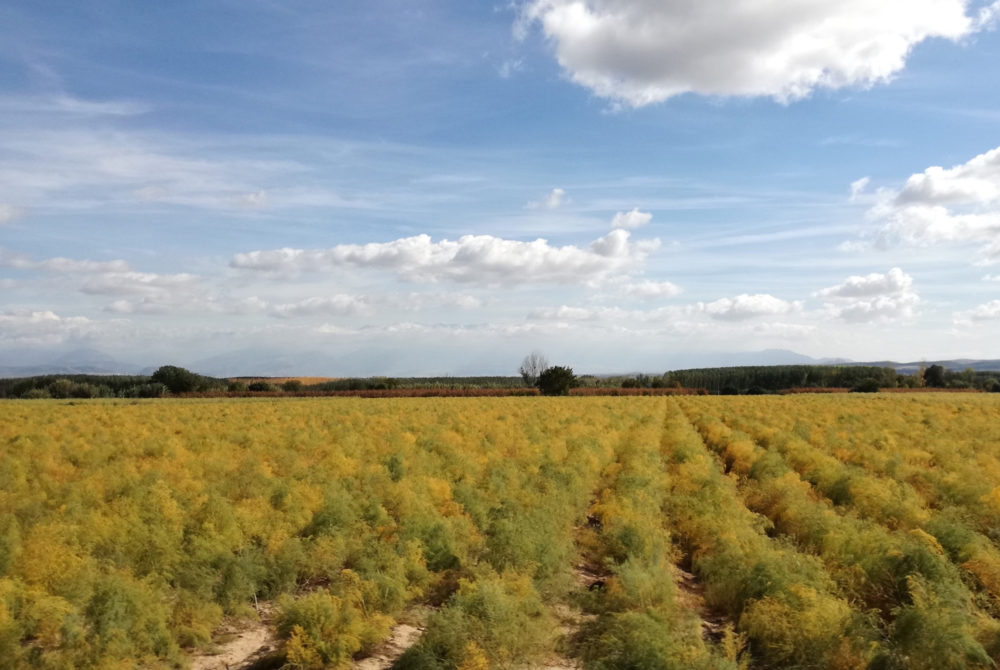 Valderrubio1-1000x670 - El pueblo de España con un nombre raro que Federico García Lorca eligió para vivir