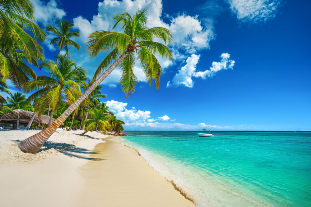 iStock-1467255291-1000x667 - Las playas que tienen sargazo en Punta Cana