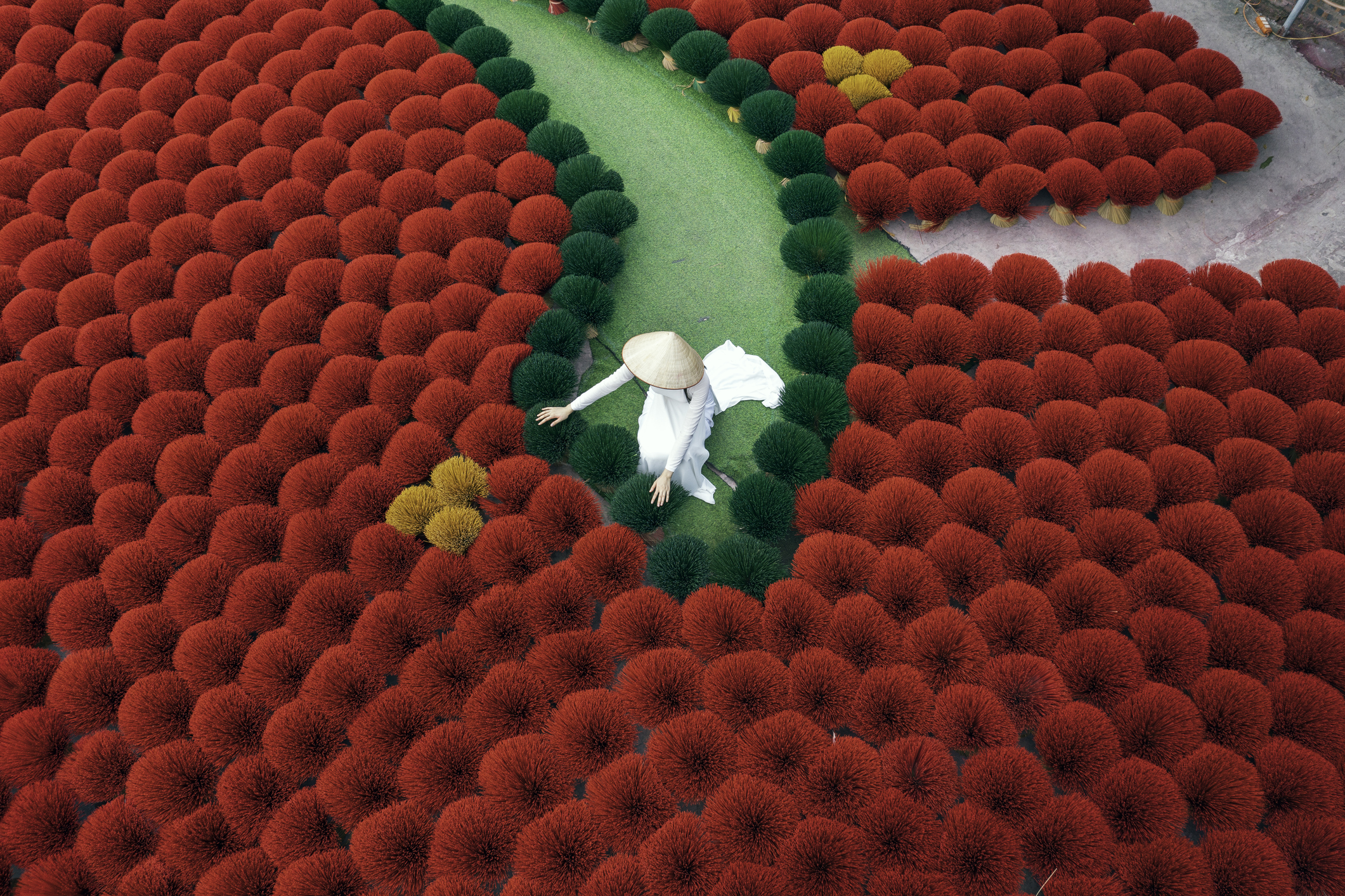 Vietnam: un recorrido por sus pueblos de incienso