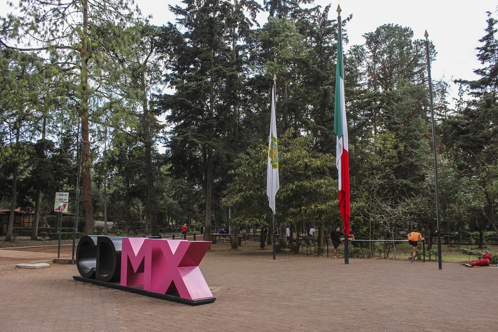 1280px-Bosque_de_Tlalpan_IMG_8325_33435788532-1000x666 - Los parques y bosques más bonitos de la CDMX para ver las hojas caer en otoño