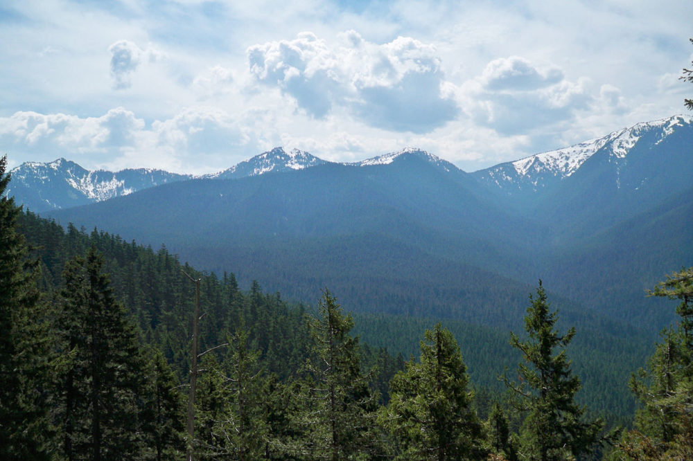 1280px-Cumbres_del_Ajusco-1000x666 - Los parques y bosques más bonitos de la CDMX para ver las hojas caer en otoño