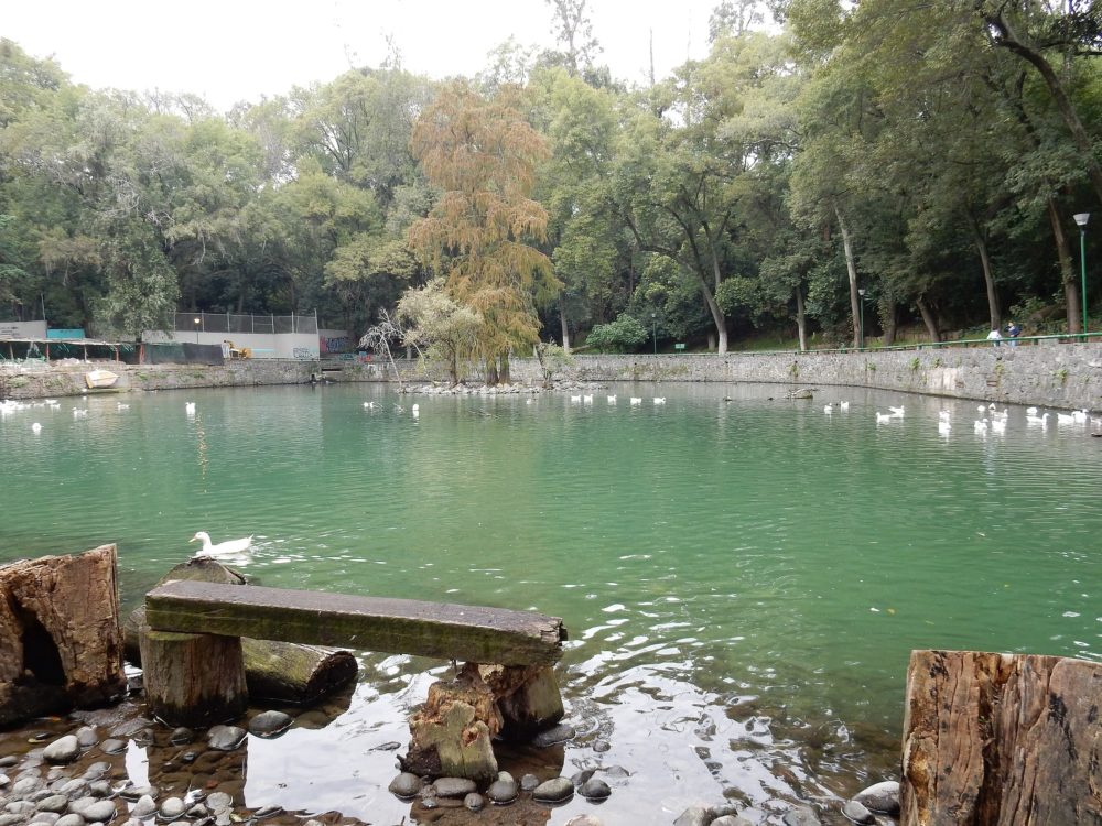 2560px-Fuente_en_el_parque_Fuentes_Brotantes_05-1000x750 - 7 lagos bonitos en la CDMX