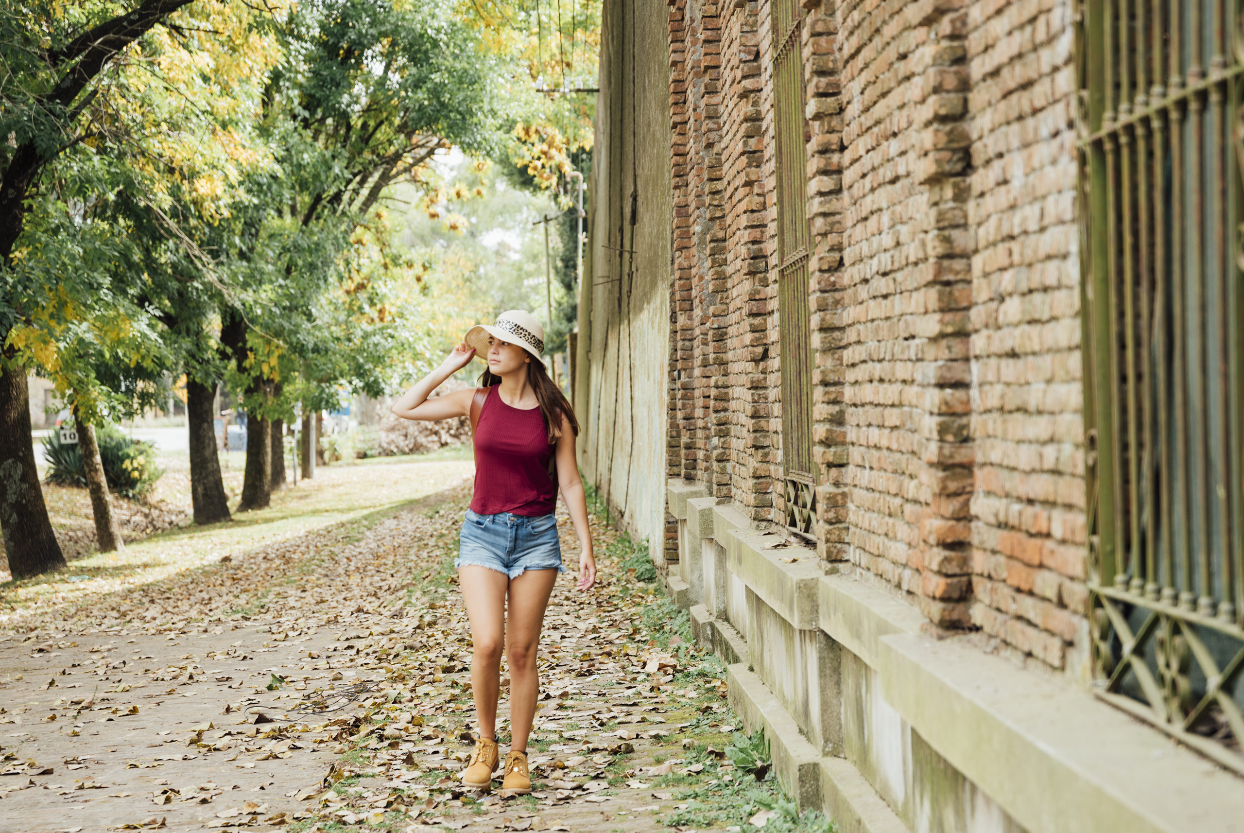 Las 5 colonias más antiguas y tradicionales de la CDMX