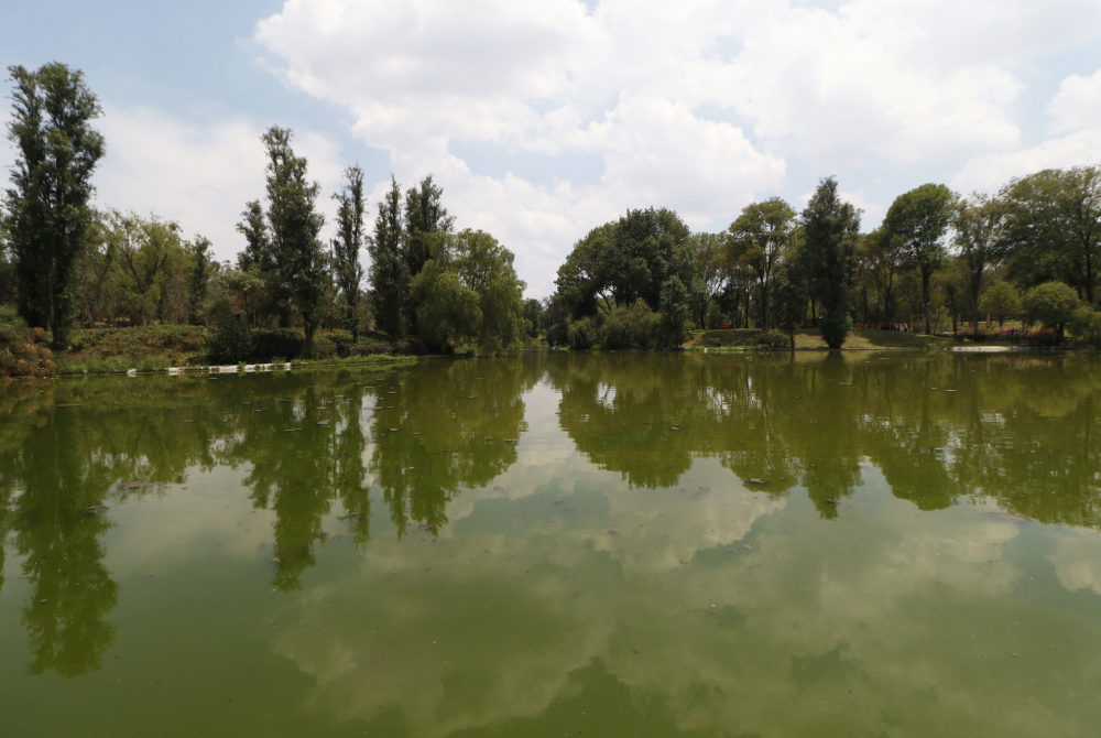 Parque-Tezozomoc-1000x670 - 7 lagos bonitos en la CDMX