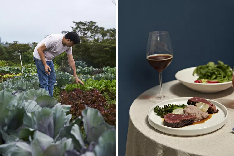 TAL-sambombi-chef-in-garden-and-dishes-on-table-MEDELLINFOOD0924-e755160052214148813eccf57efbf254 - Dónde comer en Medellín: guía gastronómica para la ciudad colombiana