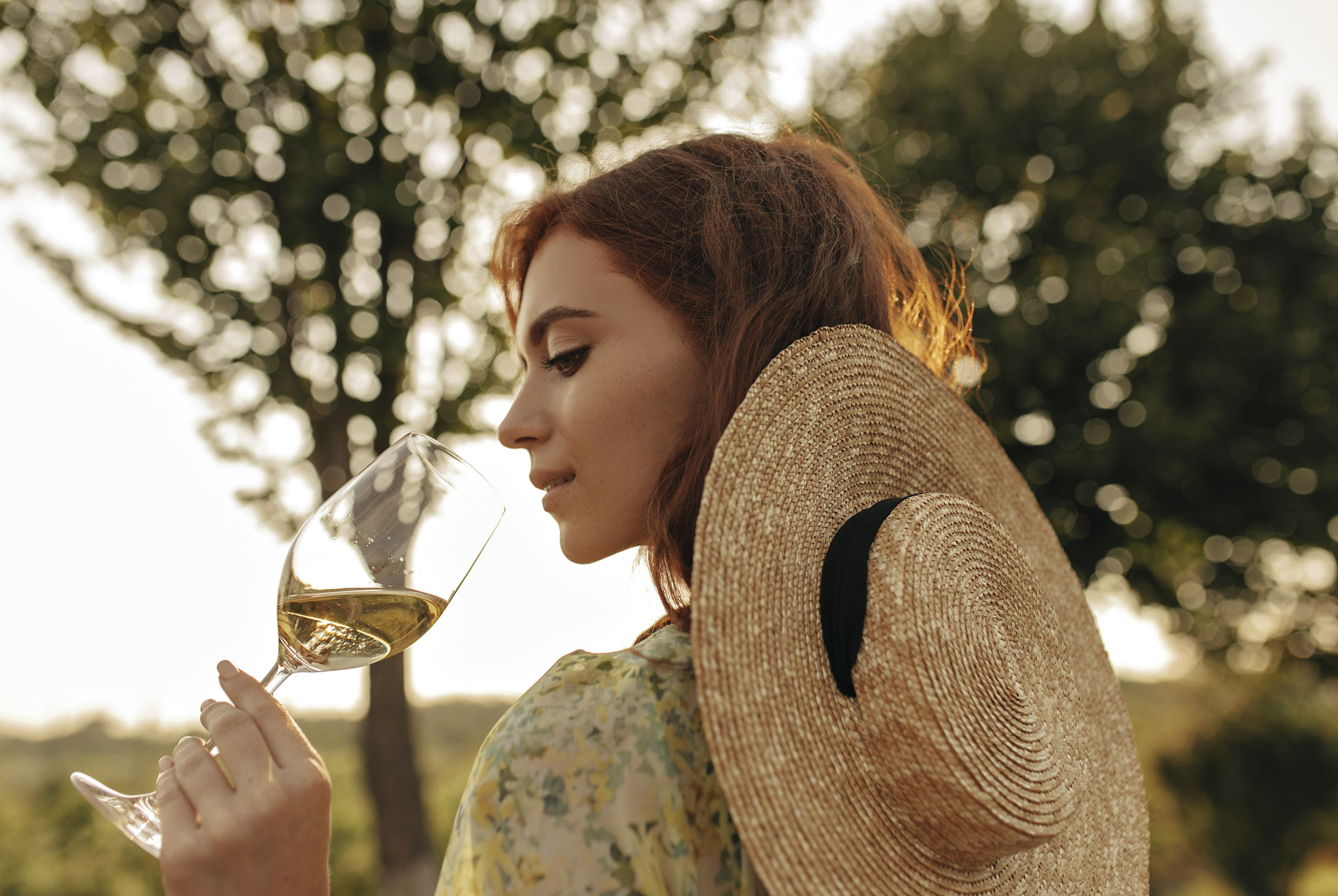 Parece la Toscana italiana, pero está a 15 minutos de San Miguel de Allende y son viñedos alucinantes