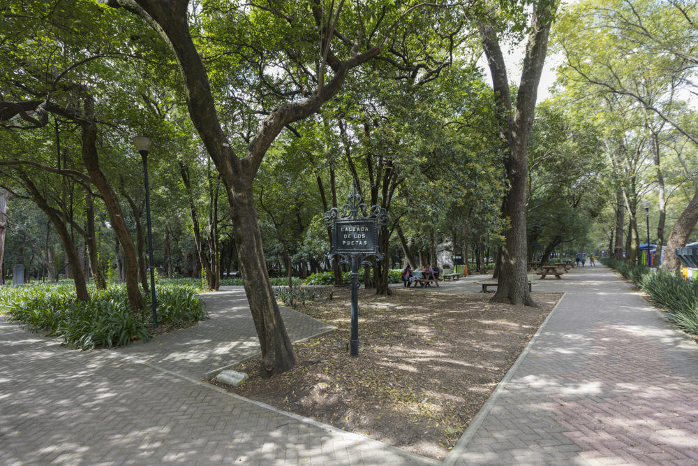 iStock-1395337585-1000x667 - Los parques y bosques más bonitos de la CDMX para ver las hojas caer en otoño