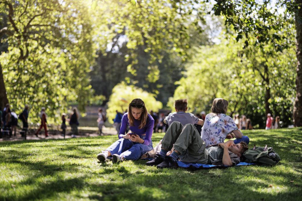iStock-1713277540-1000x667 - Los parques y bosques más bonitos de la CDMX para ver las hojas caer en otoño