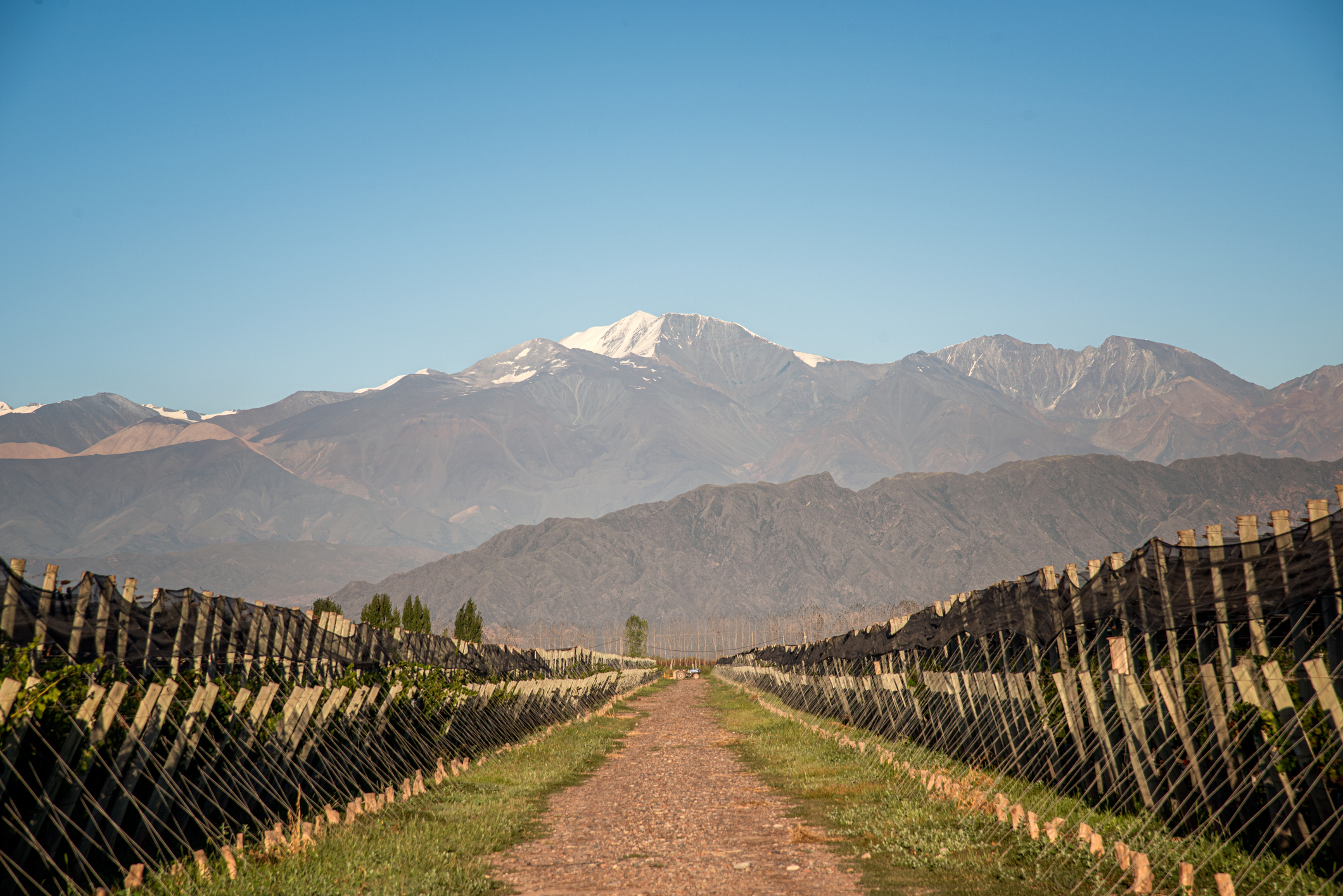 vino_Mendoza_Argentina_1 - Argentina en cuatro souvenirs clásicos (y dónde encontrarlos)