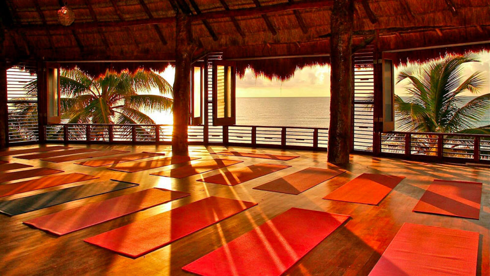 Amansala-Edited-3-1000x563 - Descubrir Amansala: un santuario de bienestar y balance en Tulum