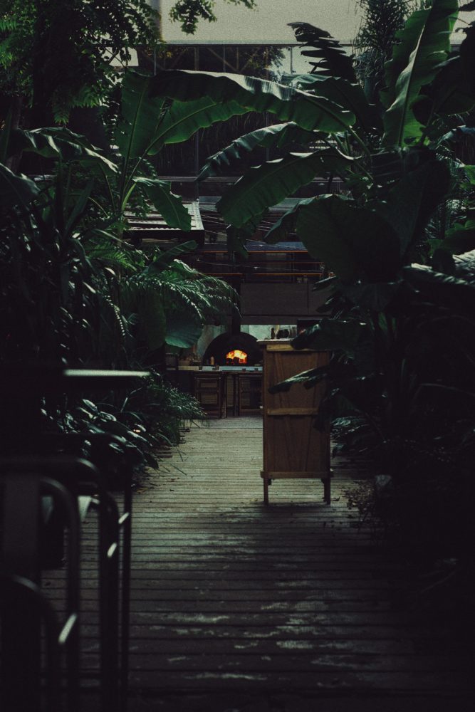 Chui-Buenos-Aires-667x1000 - Chuí, el restaurante porteño recomendado por la Guía Michelin, abre su primer oasis urbano en México