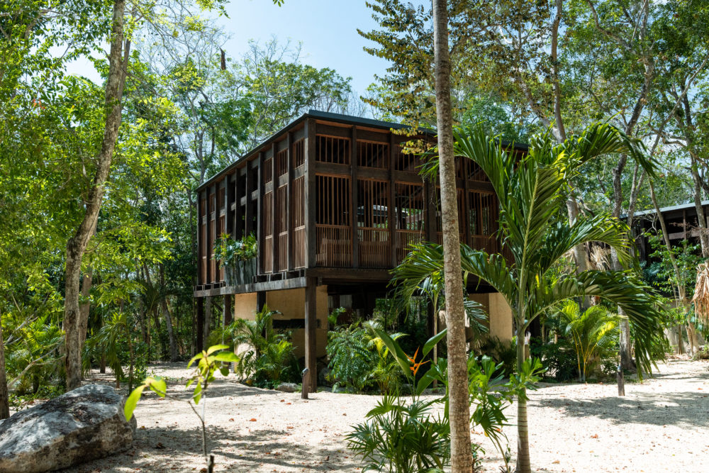 DSC0055-1000x667 - Vive la nueva era del Caribe Mexicano, un paraíso redefinido 