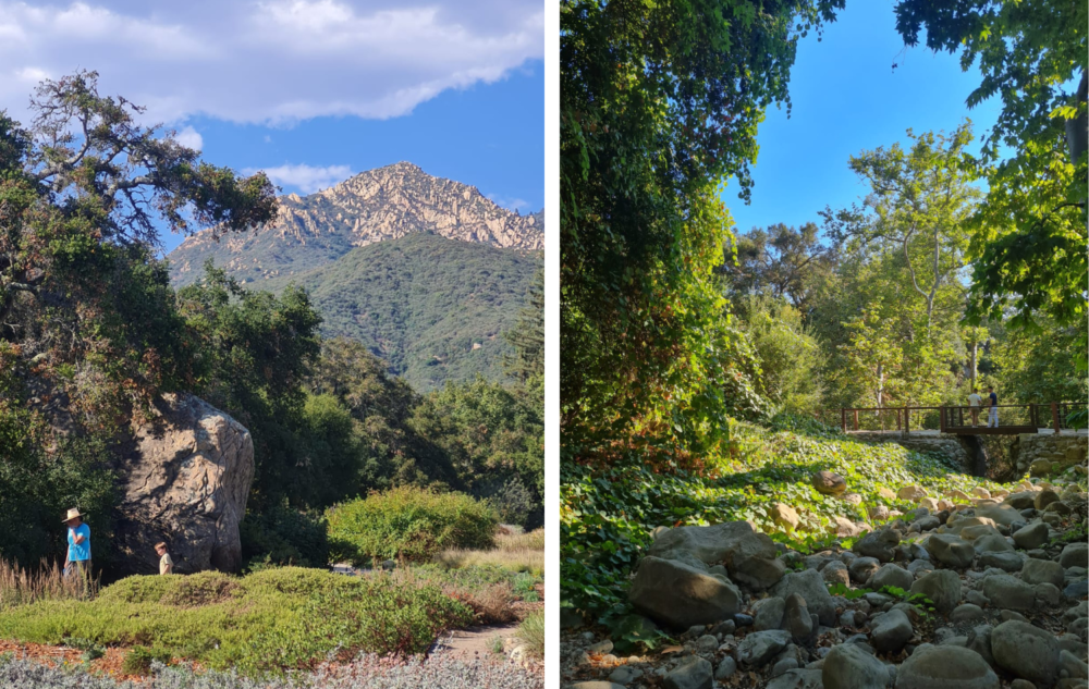 Jardin-botanico-de-santa-barbara-1000x633 - 12 horas para conocer Santa Bárbara, un paraíso sobre la  Costa Oeste de los Estados Unidos
