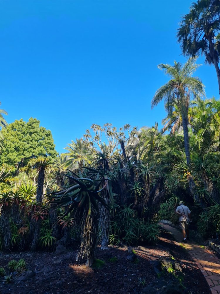 Lotusland-Montecito-10-750x1000 - Este es el jardín botánico con la mayor cantidad de especies raras y exóticas de California