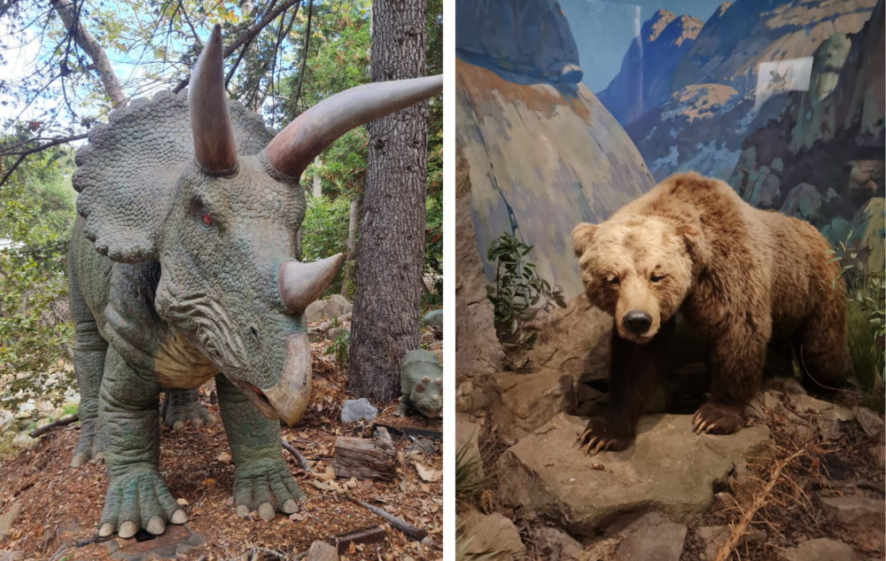 Museo-de-historia-natural-de-Santa-Barbara-1000x633 - 12 horas para conocer Santa Bárbara, un paraíso sobre la  Costa Oeste de los Estados Unidos