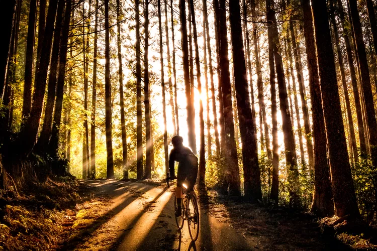 Pasé 3 días pedaleando por Kyushu, Japón. Te cuento por qué es una manera increíble de conocer la isla.