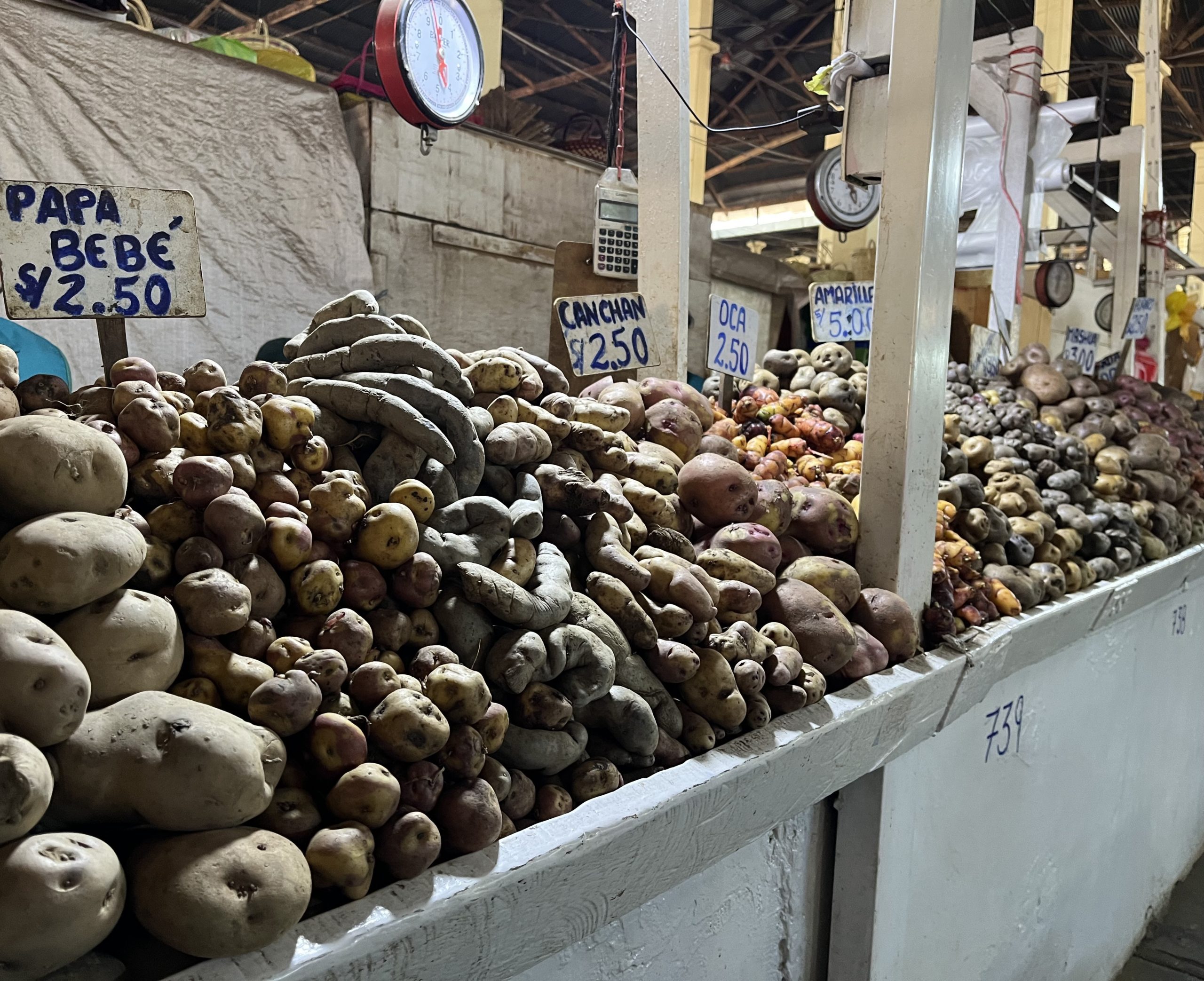 paps_nativas-scaled - 12 horas en la ciudad de Cusco