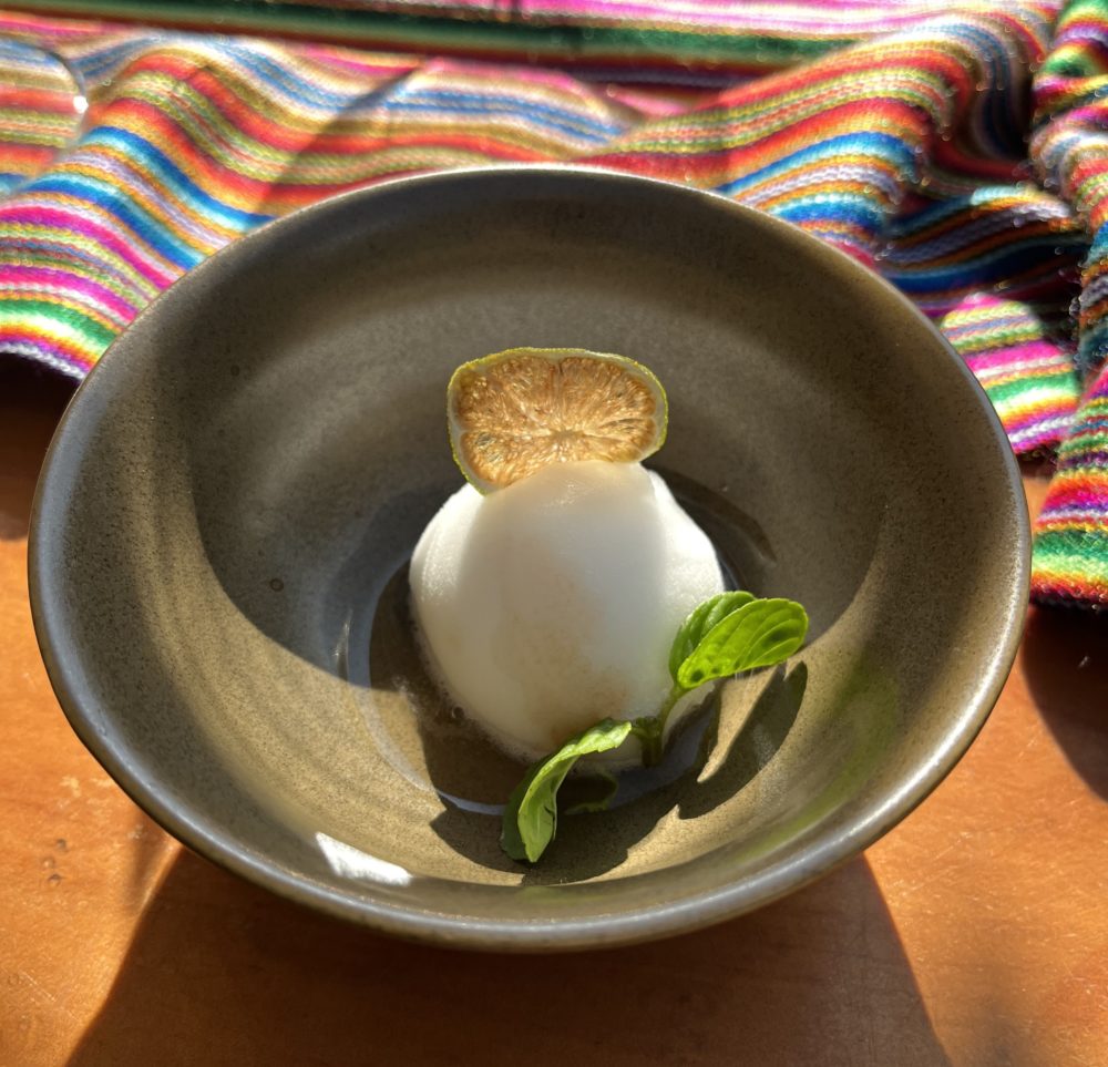 sorbete_pisco_sour-1000x963 - Pisco Sour: un viaje por la historia y los sabores del Perú