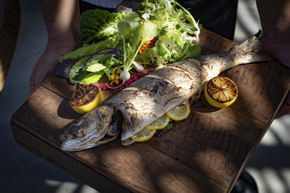 COA-Main-Dish-004-1000x667 - COA: maridaje entre la técnica contemporánea y la tradición boricua en el mejor hotel de Puerto Rico