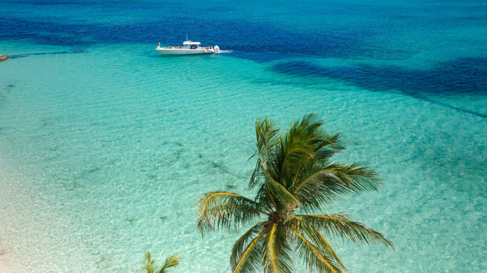 DJI_0682-Enhanced-NR-1000x562 - Explora las profundidades de las Bahamas con Ocean Guardian Experience en Rosewood Baha Mar