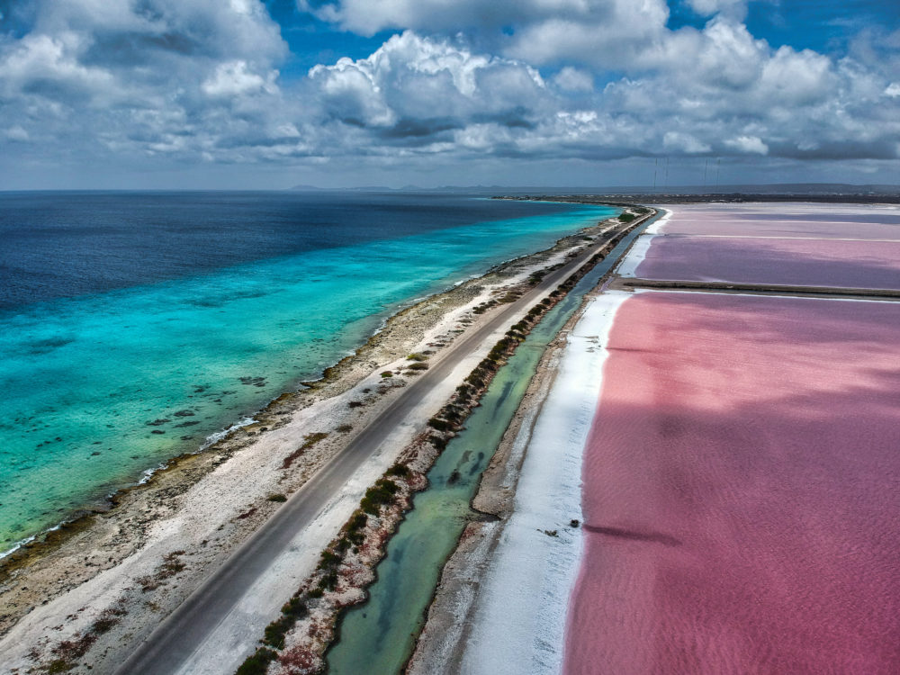 islas-ABC-Bonaire-Pink-Beach-1000x750 - ¿Cuáles son y dónde quedan las islas ABC?