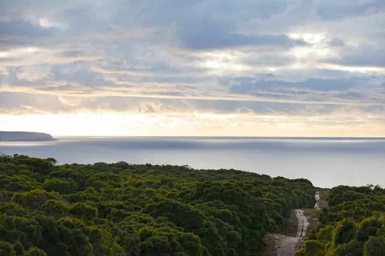 oceano-en-tress-road - Australia Occidental, un destino con bodegas y restaurantes de primer nivel