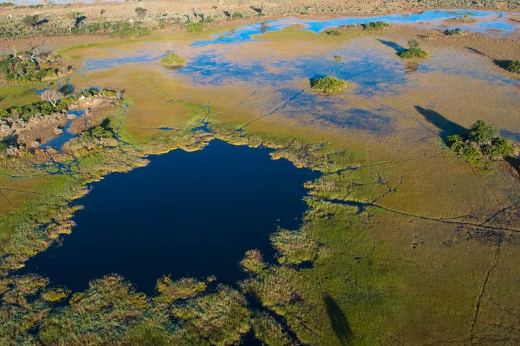 okavango-delta-botswana-africa - Si quieres tener una nueva mirada de África, conoce los 3 mejores safaris en helicóptero por el continente