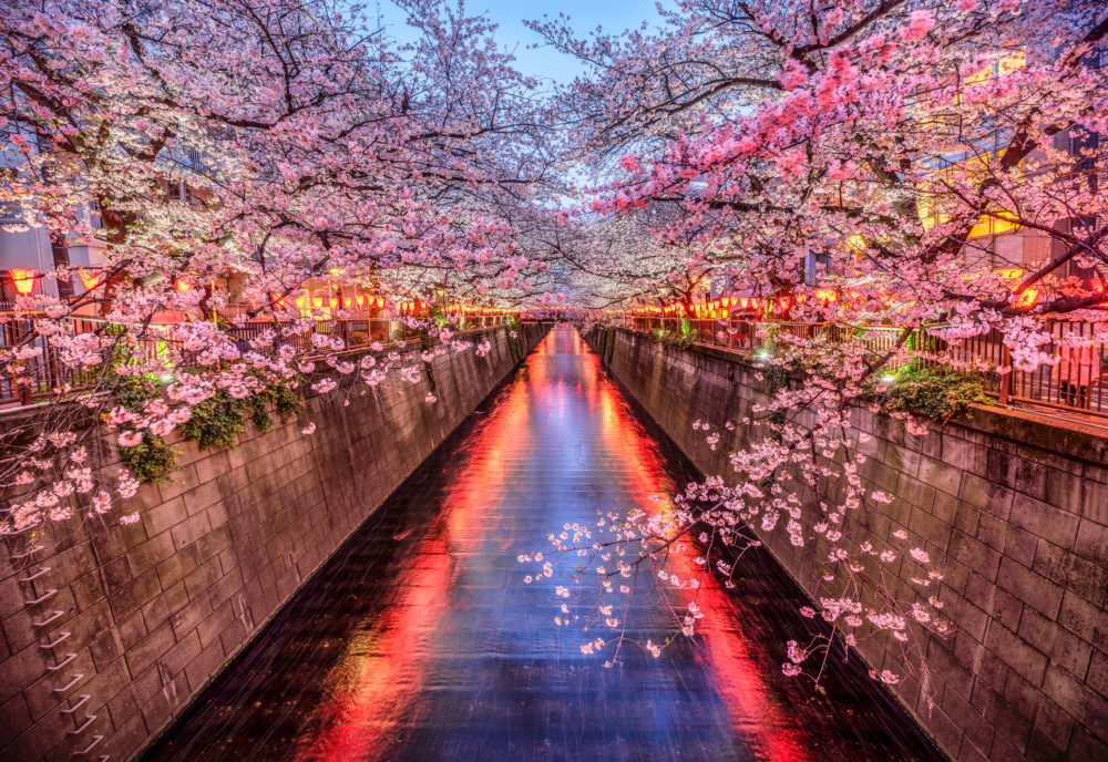 rio-Meguro-en-Tokio-1000x688 - Los 5 destinos más buscados por los turistas a nivel mundial