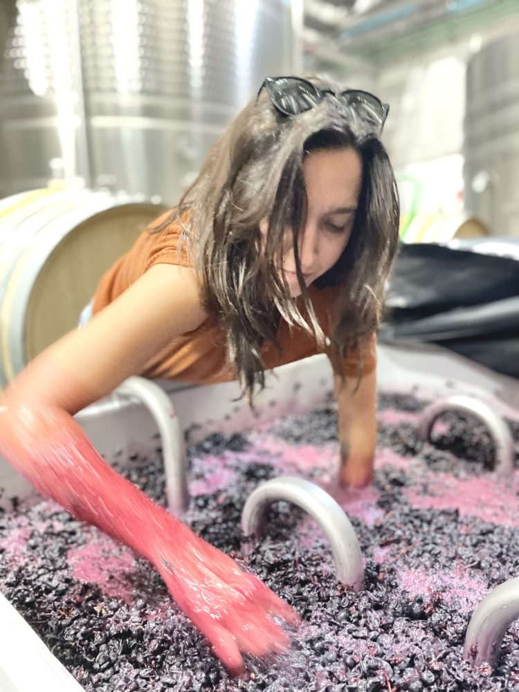 Cami-Torta-2-750x1000 - Cami Torta nos recomienda con qué brindar en las fiestas