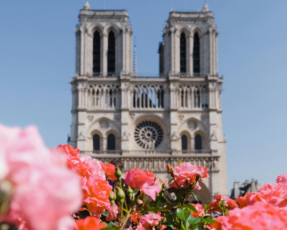 Cómo visitar la Catedral de Notre Dame tras su reapertura