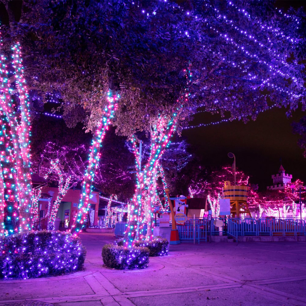 NochesBrillantes-1000x1000 - Así es “Christmas in The Park”, el festival de Navidad en Six Flags México 