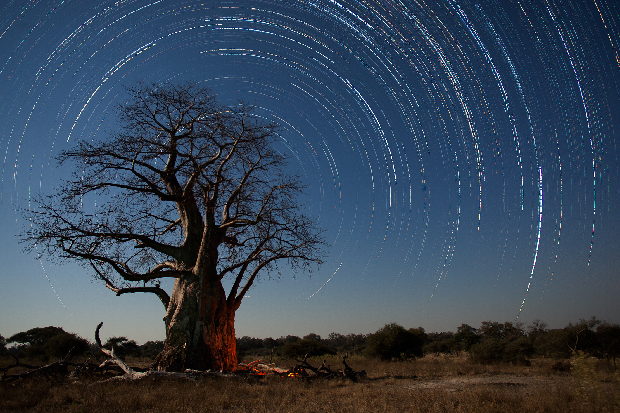 Estos lujosos lodges de Sudáfrica te ofrecen una visión inolvidable del cielo nocturno