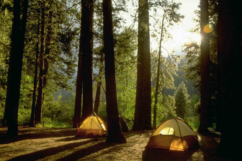 Este estado acaba de ser nombrado el mejor lugar para acampar en los EE.UU. por su vida silvestre y sus impresionantes paisajes