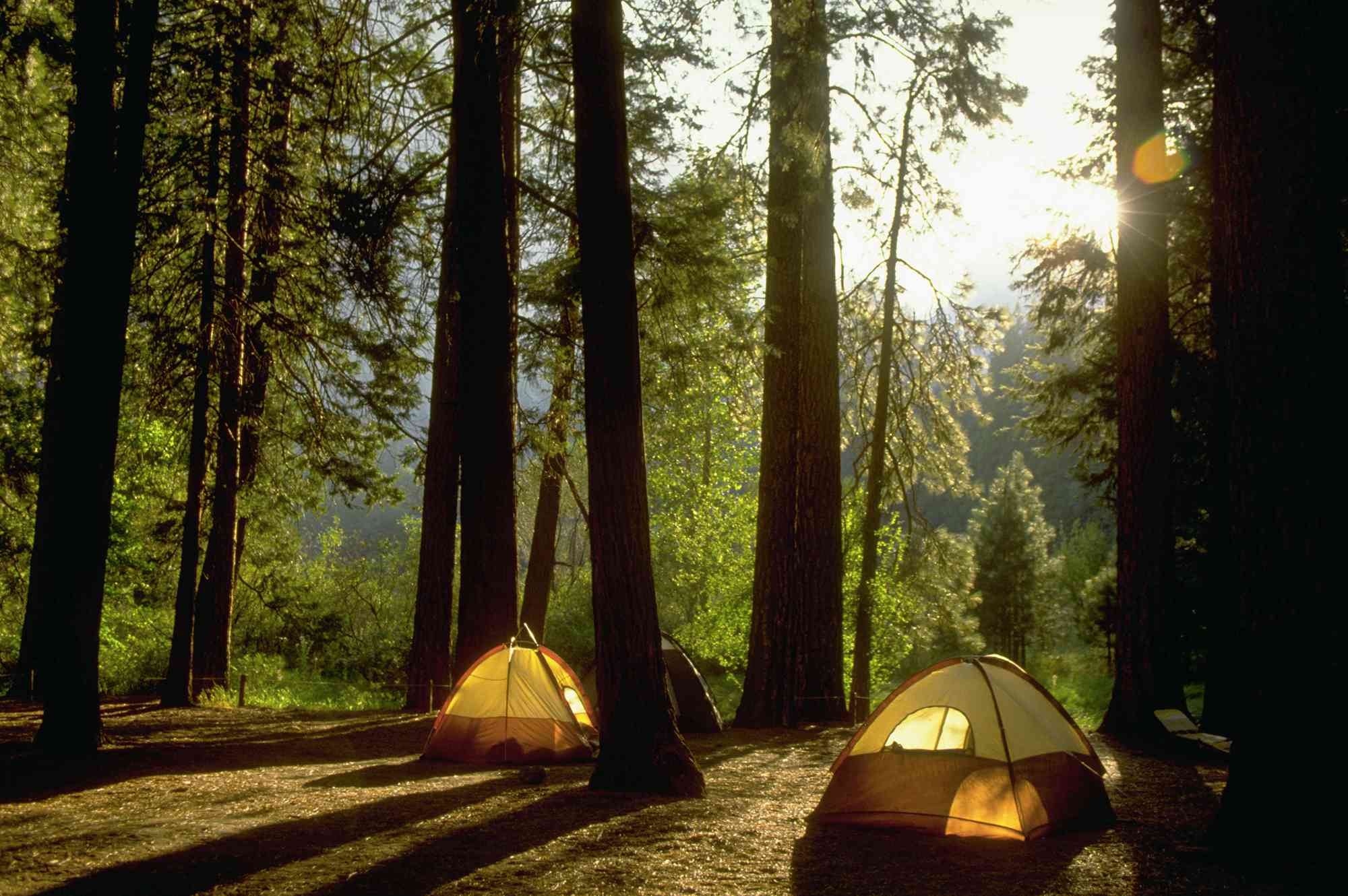 Este estado acaba de ser nombrado el mejor lugar para acampar en los EE.UU. por su vida silvestre y sus impresionantes paisajes