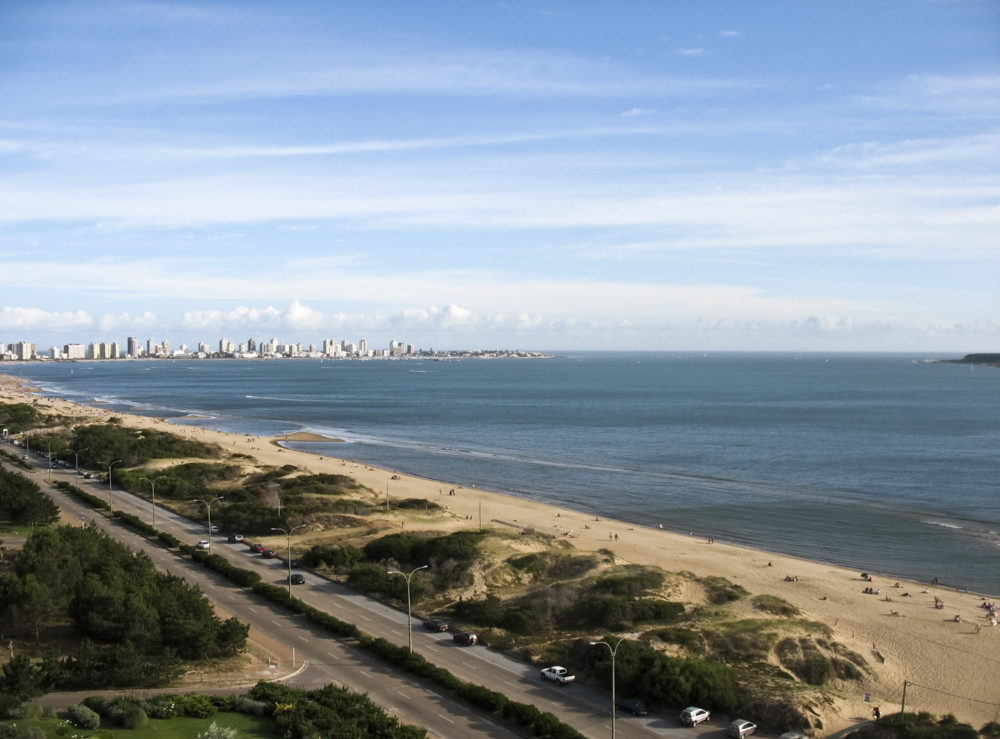 «Como Pez En El Agua», la guía para comer en Punta del Este