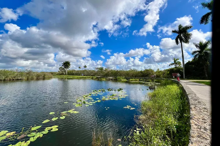 TAL-everglades-national-park-trail-flamingo-everglades-lodge-FLAMINGLDG1224-ea767e631ec1498a98911b84e5a416a0 - Este glamping es el único hotel en el Parque Nacional más grande de Florida, ¡y está hecho con contenedores de carga!
