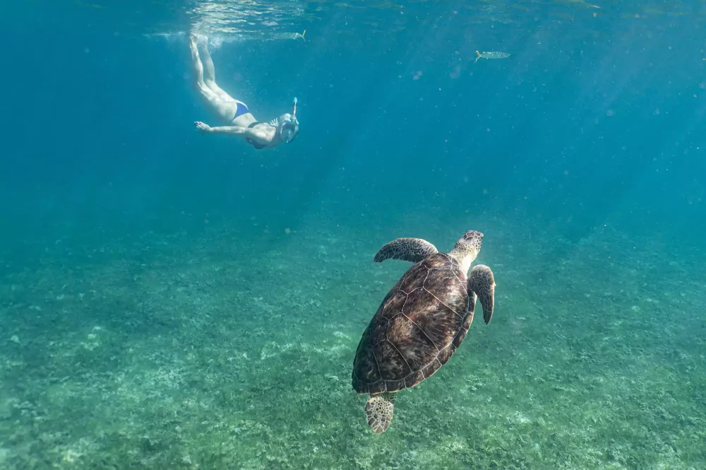 TAL-snorkling-st-johns-bvi-BESTSTJOHN0125-4ac3bfde1b0147199ae4f1492bc63fac-1000x665 - Esta isla caribeña es la mejor para familias, según viajeros