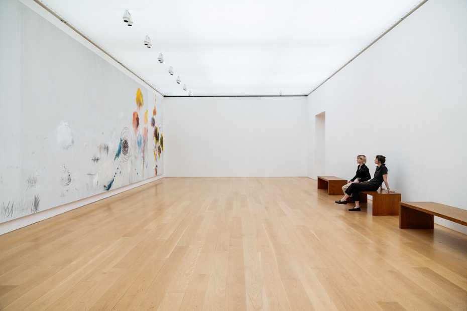 The-Menil-Collection - Houston, Texas: como un local (adoptivo) por Francisco Centurión